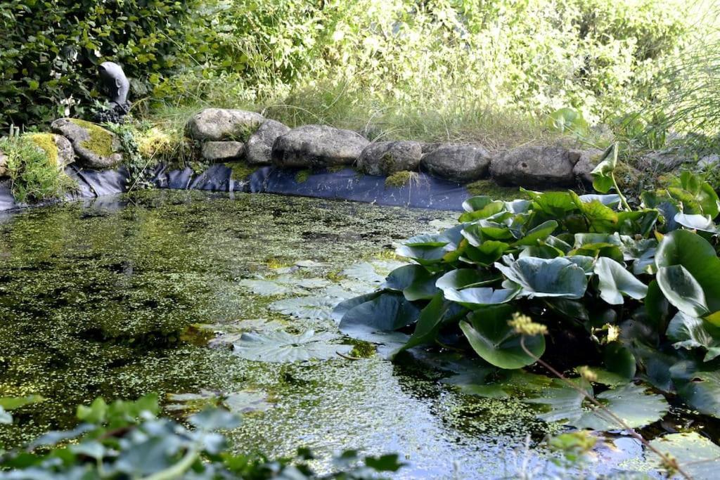 Villa O Bord Du - Canoe, Barbecue *